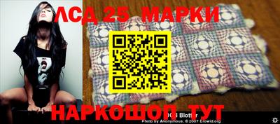 индика Камышлов
