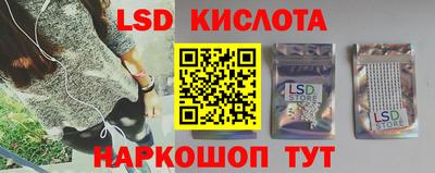 индика Камышлов