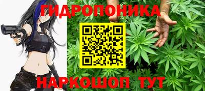 тгк Канаш