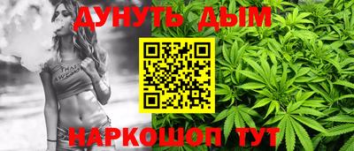 индика Камышлов