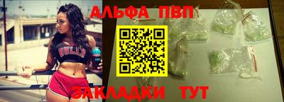 индика Камышлов