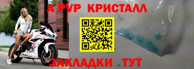 индика Камышлов