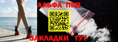 индика Камышлов