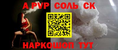 индика Камышлов