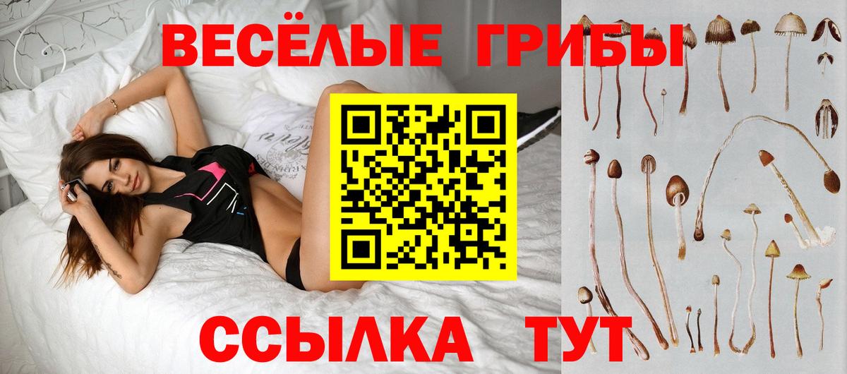 Сокол  Галлюциногенные грибы MAGIC MUSHROOMS  Псилоцибиновые грибы Psilocybe  Вход с VPN 